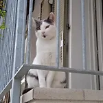 Ca Di Gat Apartmán La Morra