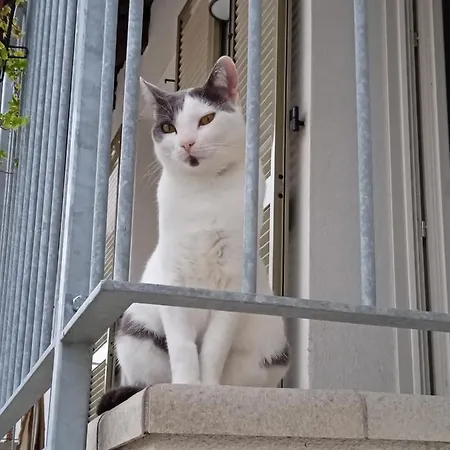 Cà Di Gat Apartamento La Morra