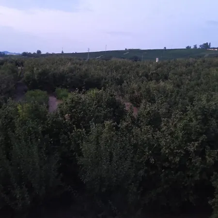 Apartamento Cà Di Gat