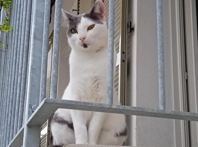 Ca Di Gat Appartement La Morra